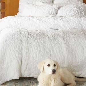 Anthropologie Bajada Jersey Quilt - size Queen